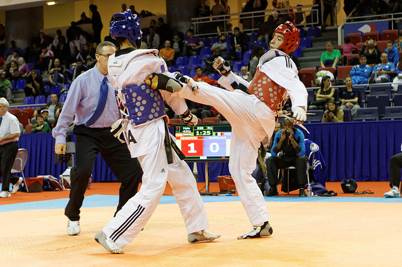 2014_French_Open_Taekwondo_-_Antonio_Divkovic_vs_Stevens_Barclais_04